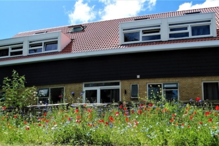 De Vlindertuin Ameland - Wadden - Nes