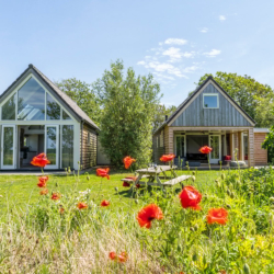 Natuurhuisje in De Cocksdorp