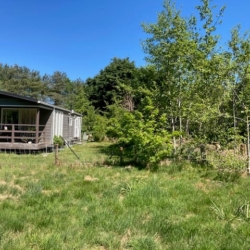 Natuurhuisje in De Koog