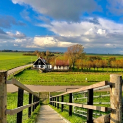 Natuurhuisje in Oosterend