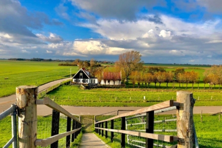 Natuurhuisje in Oosterend