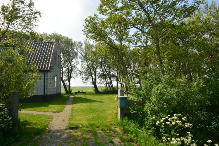 Natuurhuisje in Schiermonnikoog